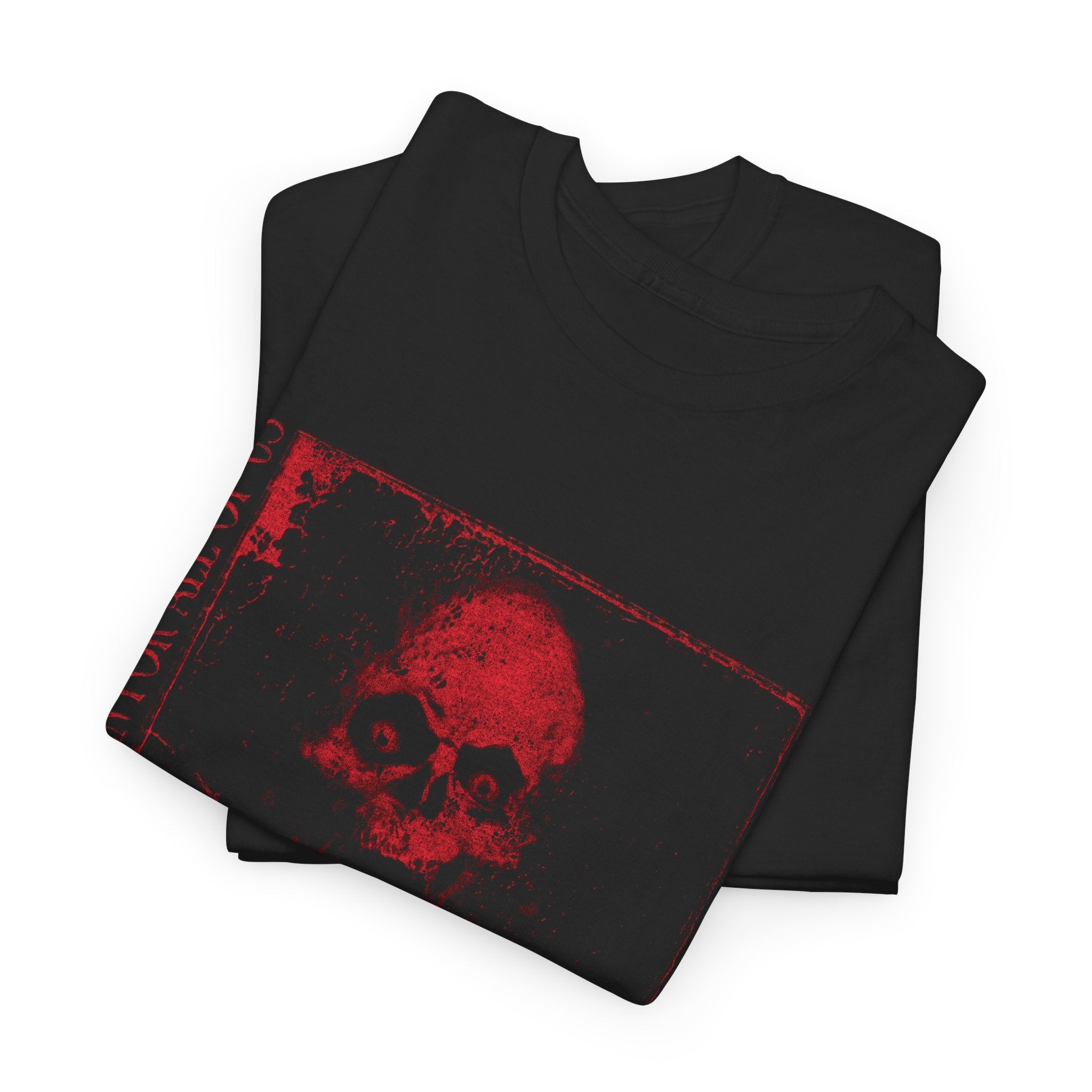 Heaven Wont Open For All Of Us  Heavy Cotton Tee